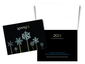 2013 Snowflake Holiday Card